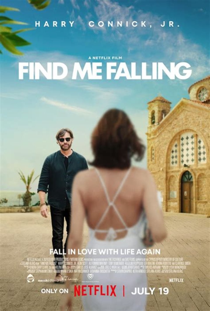 Discovering The Essence Of "Find Me Falling"