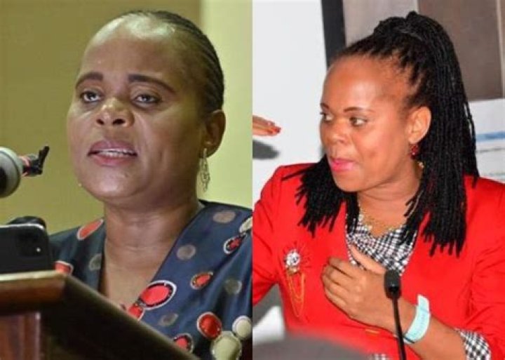 Unraveling The Mystery: Who Is Phophi Ramathuba's Husband?